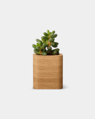 Pot cubique à personnaliser