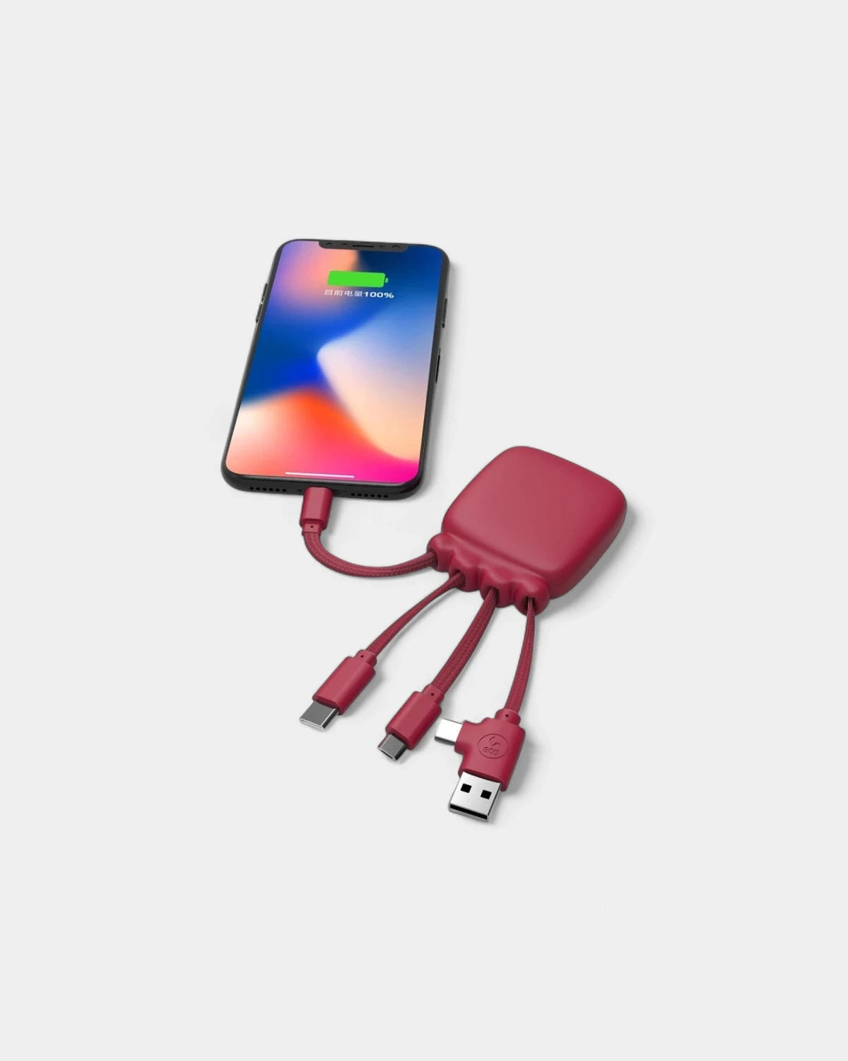 Batterie de poche 3 000 mAh & multi‑câbles à personnaliser