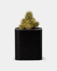 Pot cubique à personnaliser