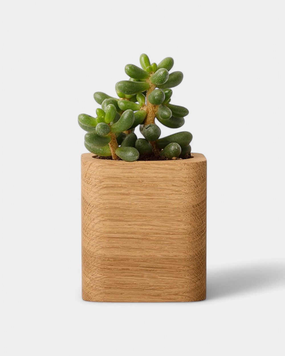 Pot cubique à personnaliser