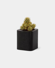 pot-cubique-en-bois-a-personnaliser20