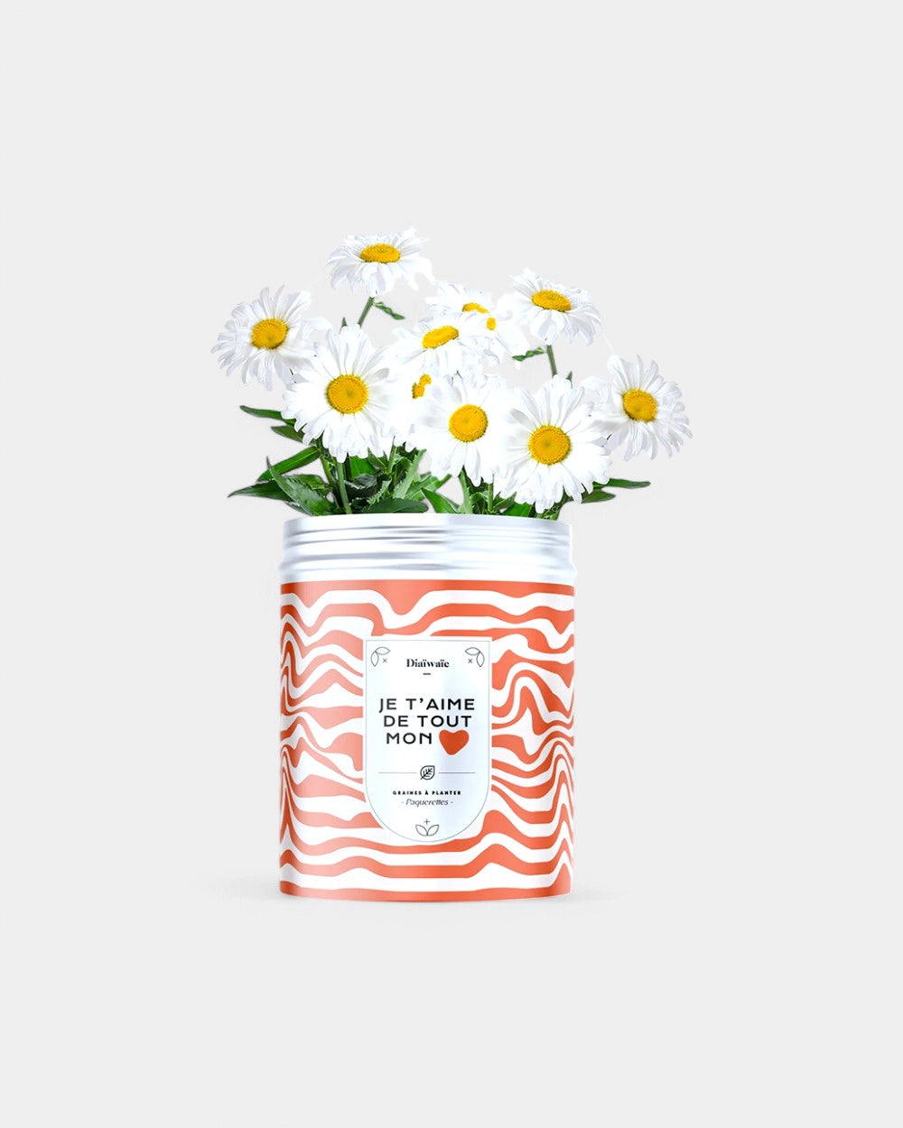 Kits de graines à planter personnalisable